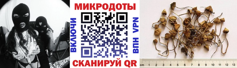наркотики  Волжск  Галлюциногенные грибы мухоморы 